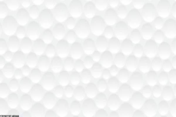 体育教师专业培训方案与实战经验分享